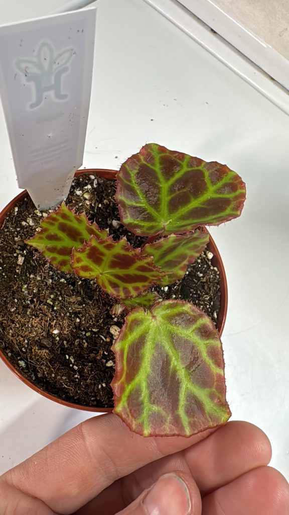 07b35519 4f02 44b3 b933 f1f6c5dee3ec