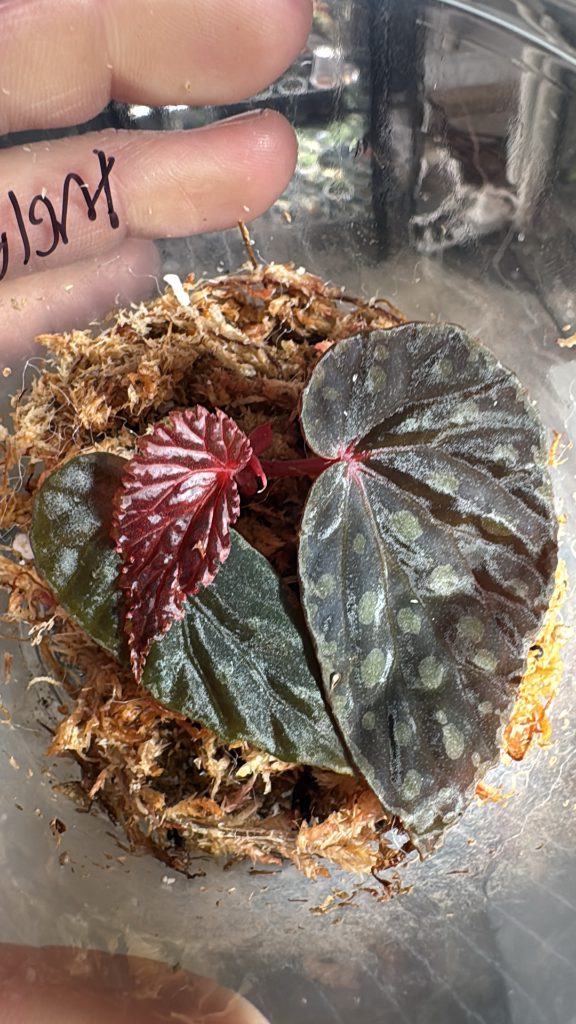 7a474b5e 098c 42e5 8e4f 5e4ce365ed3e