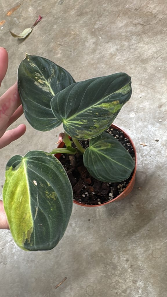 a72560fc adb7 47df be8b 0b91b9c28023