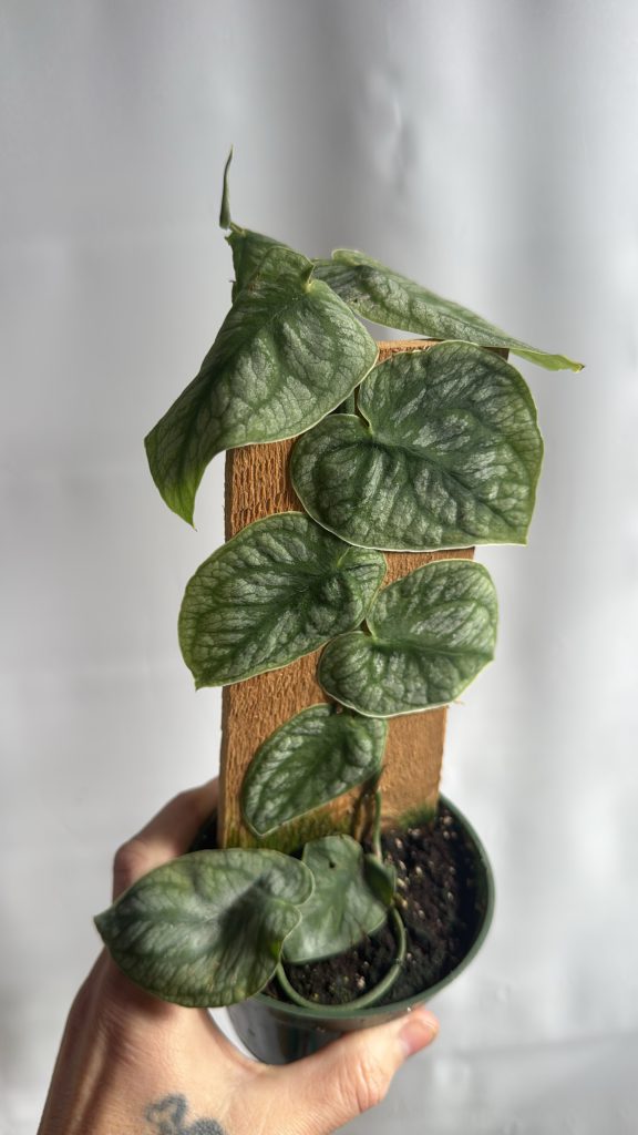 eecc2dde 1d3c 4737 85c1 b08837a023bc