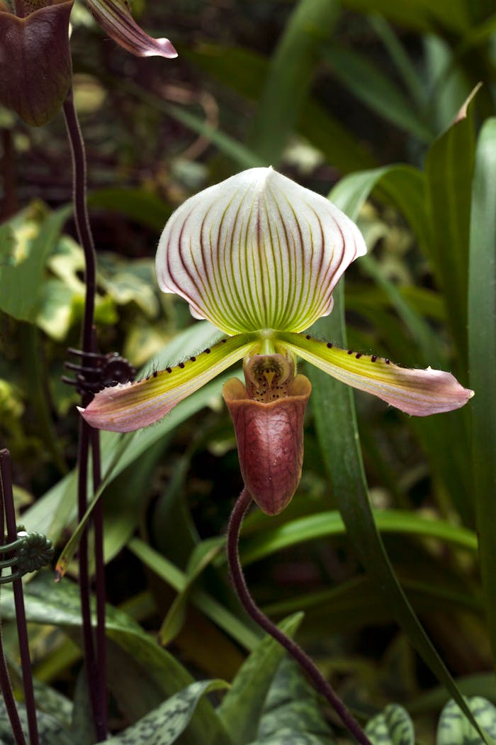 services-03 pexels-photo-36102633.jpeg